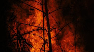 Dichiarazione dello stato di grave pericolosità per gli incendi boschivi nell’anno 2020